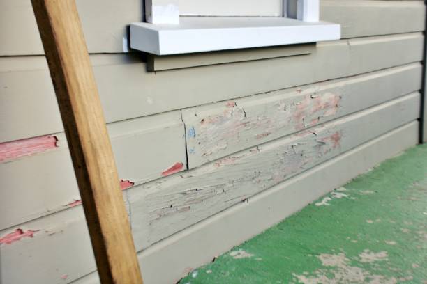 Affordable siding repair and maintenance services in East Grand Rapids, MI
